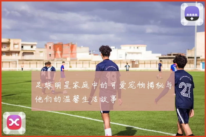 足球明星家庭中的可爱宠物揭秘与他们的温馨生活故事