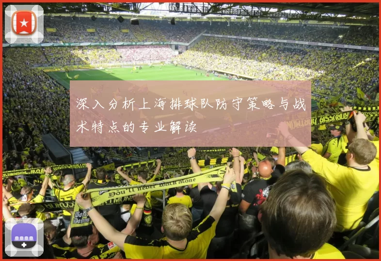 深入分析上海排球队防守策略与战术特点的专业解读