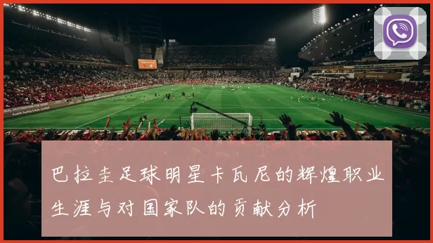 巴拉圭足球明星卡瓦尼的辉煌职业生涯与对国家队的贡献分析