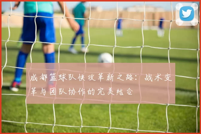 成都篮球队快攻革新之路：战术变革与团队协作的完美结合