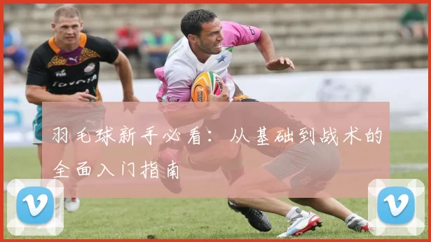 羽毛球新手必看：从基础到战术的全面入门指南