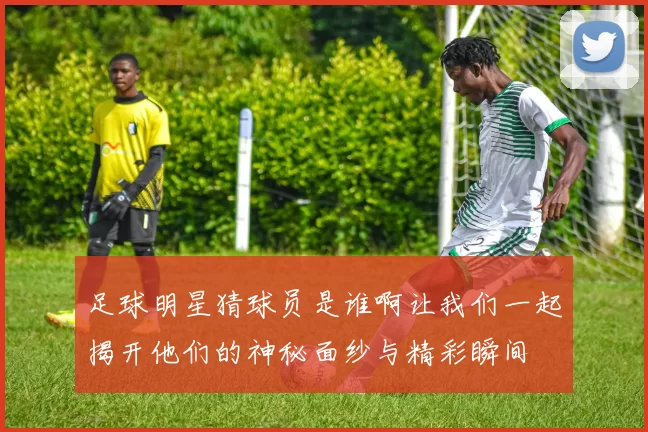 足球明星猜球员是谁啊让我们一起揭开他们的神秘面纱与精彩瞬间