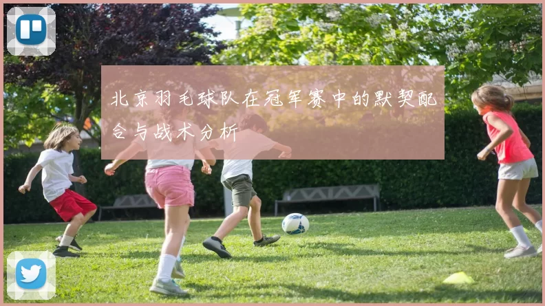 北京羽毛球队在冠军赛中的默契配合与战术分析