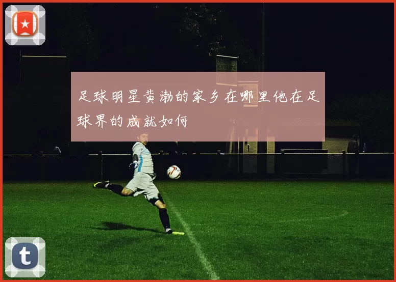 足球明星黄渤的家乡在哪里他在足球界的成就如何