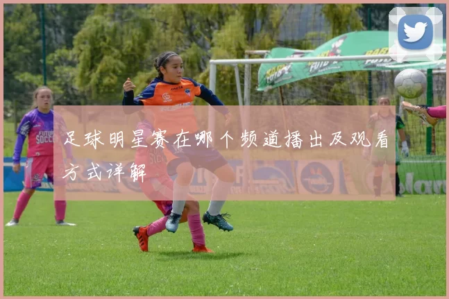 足球明星赛在哪个频道播出及观看方式详解