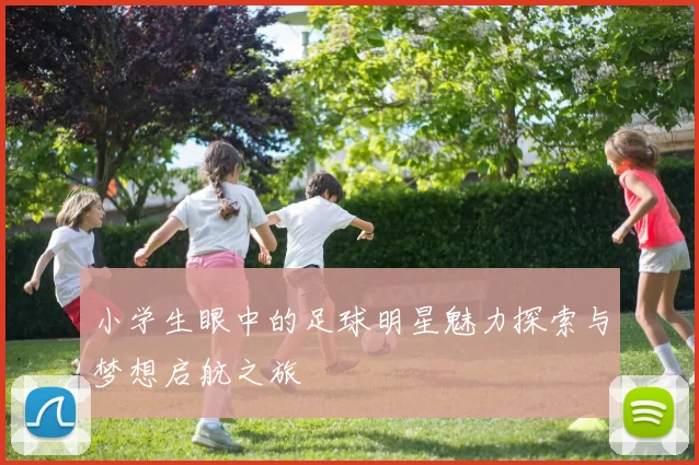 小学生眼中的足球明星魅力探索与梦想启航之旅