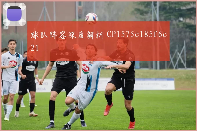 球队阵容深度解析 CP1575c185f6c21