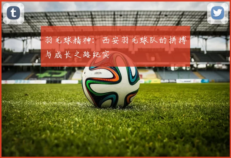 羽毛球精神：西安羽毛球队的拼搏与成长之路纪实