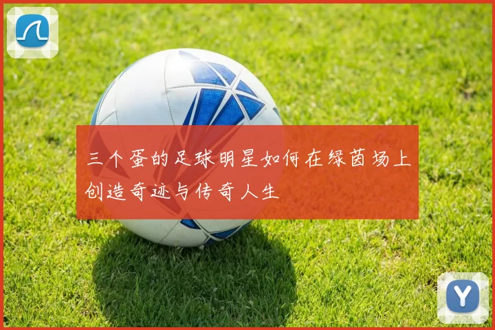 三个蛋的足球明星如何在绿茵场上创造奇迹与传奇人生